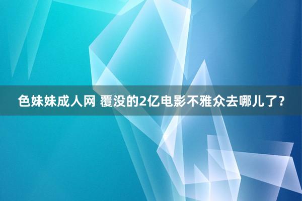 色妹妹成人网 覆没的2亿电影不雅众去哪儿了？