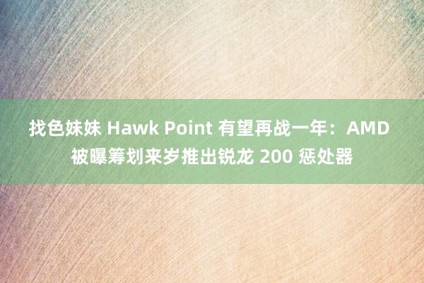 找色妹妹 Hawk Point 有望再战一年：AMD 被曝筹划来岁推出锐龙 200 惩处器