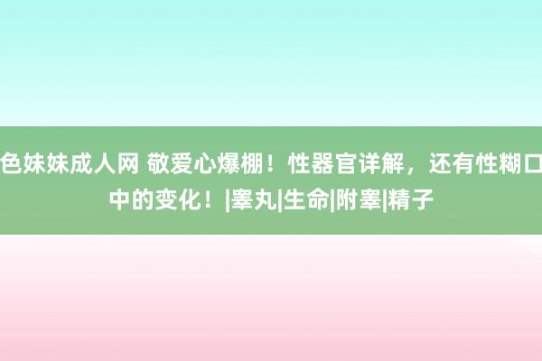 色妹妹成人网 敬爱心爆棚！性器官详解，还有性糊口中的变化！|睾丸|生命|附睾|精子